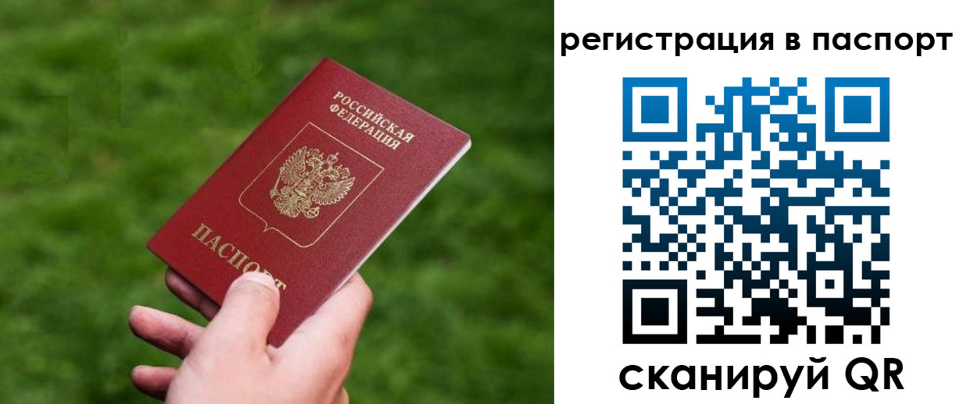 пропишу в квартире в Кашине